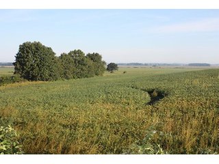 Property photo 47 - ILLINOIS LAND AUCTION - 705+/- ACRES OFFERED IN 16 TRACTS IN EDWARDS COUNTY, ILLINOIS